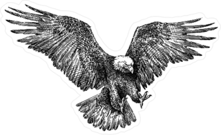 Black And White Engraved Style Eagle Sticker