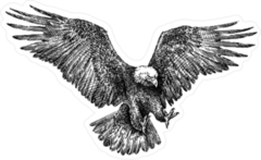 Black And White Engraved Style Eagle Sticker