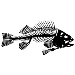 Black and White Fish Skeleton Sticker