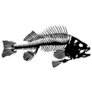 Black and White Fish Skeleton Sticker