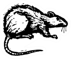 Black And White Illustration Of A Rat Sticker