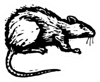 Black And White Illustration Of A Rat Sticker