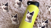 Black and White Laughing Cat Photo Sticker