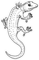Black and White Lizard Looking Back Sticker