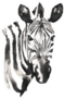 Black And White Monochrome Painting Zebra Sticker