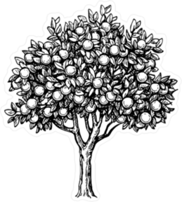 Black and White Orange Tree Illustration Sticker