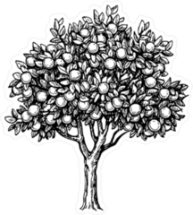 Black and White Orange Tree Illustration Sticker
