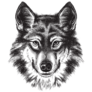 Black and White Sketch Illustration of Wolf Sticker