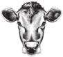 Black And White Sketch Of A Cows Face Sticker