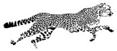 Black And White Sketch Of Running Cheetah Sticker
