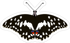 Black and White Spoted Butterfly Sticker