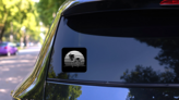 Black And White Stripes Palm Tree Sticker on a Rear Car Window (New) example