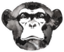 Black And White Water And Ink Monkey Sticker