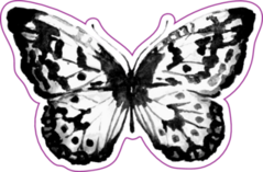 Black and White Watercolor Butterfly Sticker