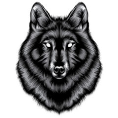 Black and White Wolf Illustration Sticker