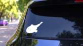 Black-Bellied Angler Fish Sticker on a Rear Car Window (New) example