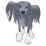 Black Chinese Crested Sticker