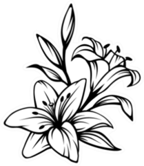 Black Contour Of Lily Flowers Sticker