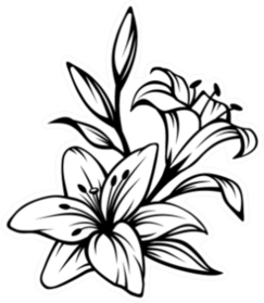 Black Contour Of Lily Flowers Sticker