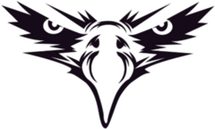 Black Eagle Face Sticker