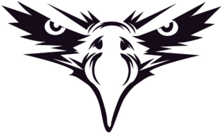 Black Eagle Face Sticker