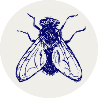 Black Fly Sketch Sticker