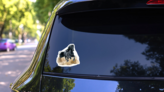 Black Friesian Horse Running In Desert Sticker on a Rear Car Window (New) example