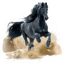 Black Friesian Horse Running In Desert Sticker