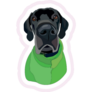 Black Great Dane Sticker
