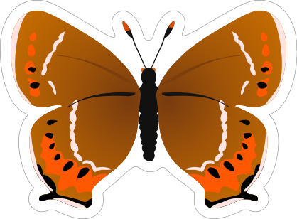 Black Hairstreak Butterfly Sticker