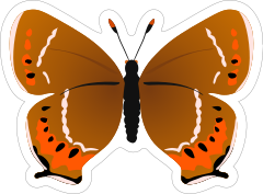 Black Hairstreak Butterfly Sticker