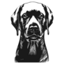 Black Lab Hand Drawn Sticker