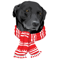 Black Lab In Scarf Sticker 