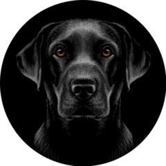 Black Labrador Circle Sticker