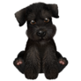 Black Mini Schnauzer Sticker