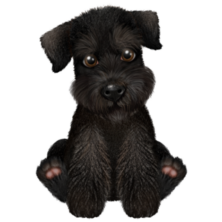Black Mini Schnauzer Sticker