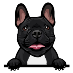Black Paws French Bulldog Sticker
