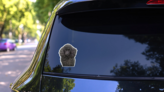 Black Poodle Sticker on a Rear Car Window (New) example