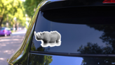 Black Rhinoceros Standing In The Waterhole Sticker on a Rear Car Window (New) example