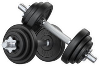 Black Rubber Metal Dumbbell Fitness Sticker