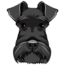 Black Schnauzer Face Sticker