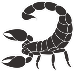 Black Scorpion Logo Sticker