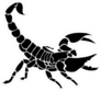 Black Scorpion Sticker