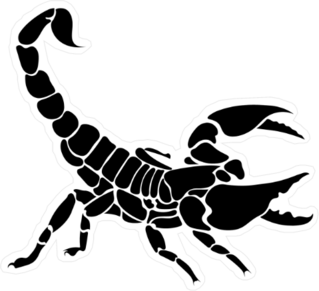 Black Scorpion Sticker
