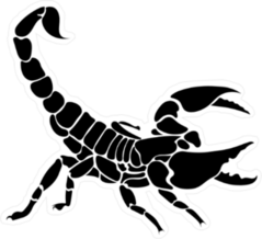 Black Scorpion Sticker