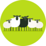 Black Sheep In The Herd On Bright Green Sticker