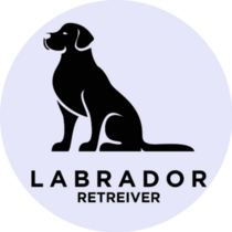Black Silhouette Labrador Sit Sticker
