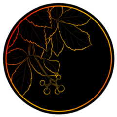Black Silhouette Of Virginia Creeper Gold Detail Circle Sticker