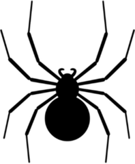 Black Spider Silhouette Sticker