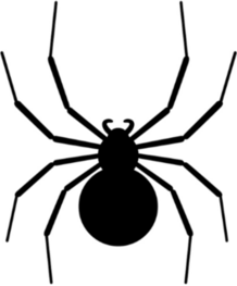 Black Spider Silhouette Sticker